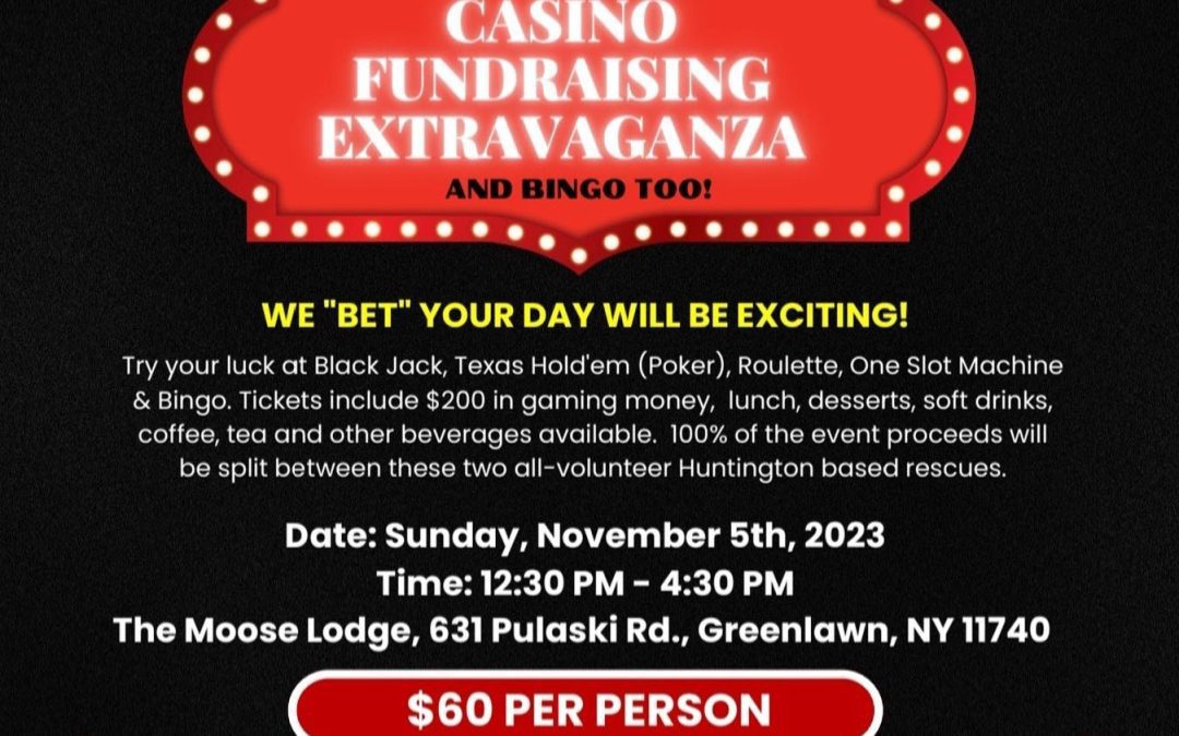 Casino Fundraising Extravaganza!!
